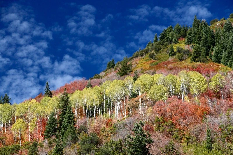 Big Cottonwood Canyon